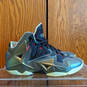 Nike LeBron 11 Kings Pride